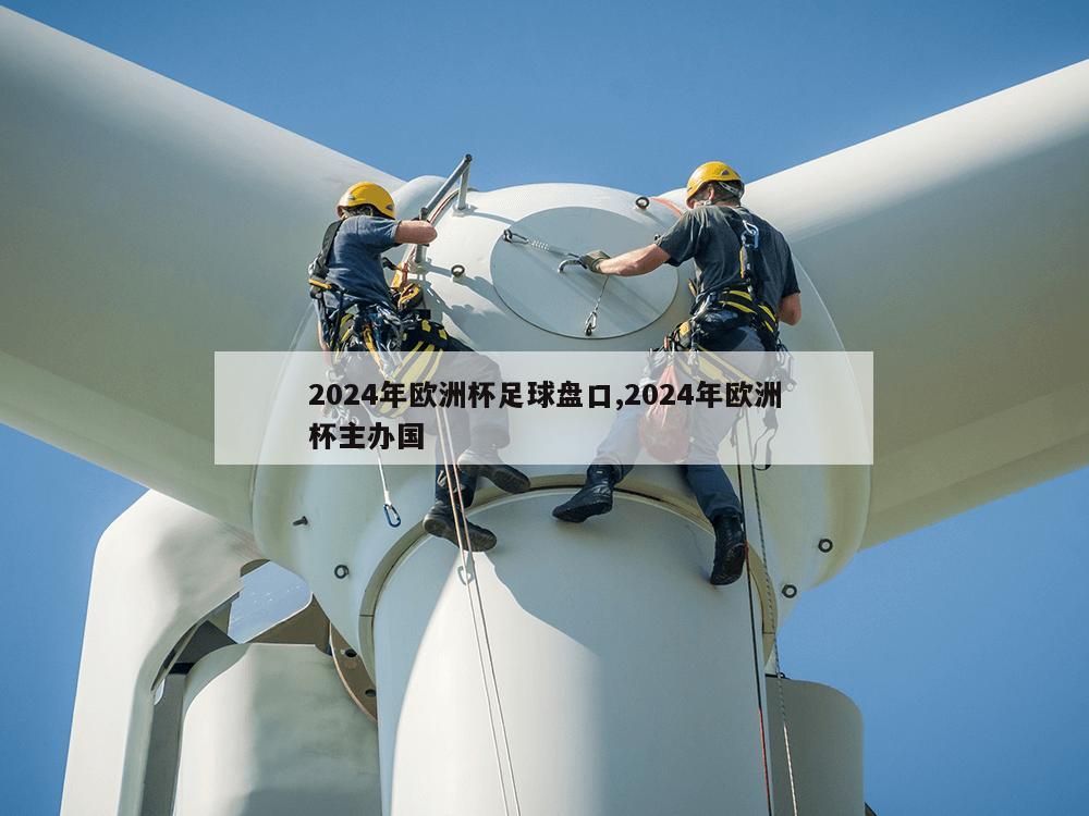 2024年欧洲杯足球盘口,2024年欧洲杯主办国