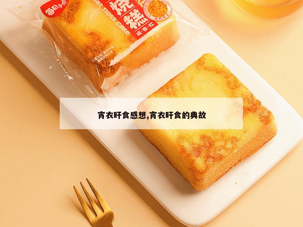 宵衣旰食感想,宵衣旰食的典故