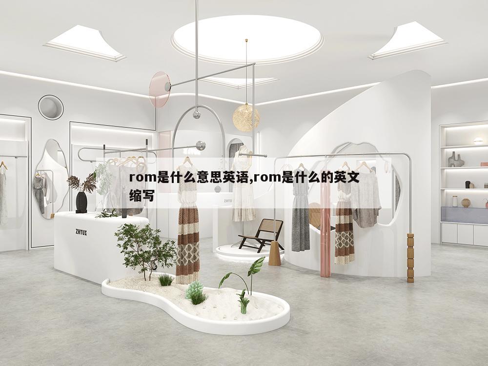 rom是什么意思英语,rom是什么的英文缩写