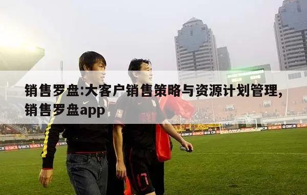 销售罗盘:大客户销售策略与资源计划管理,销售罗盘app