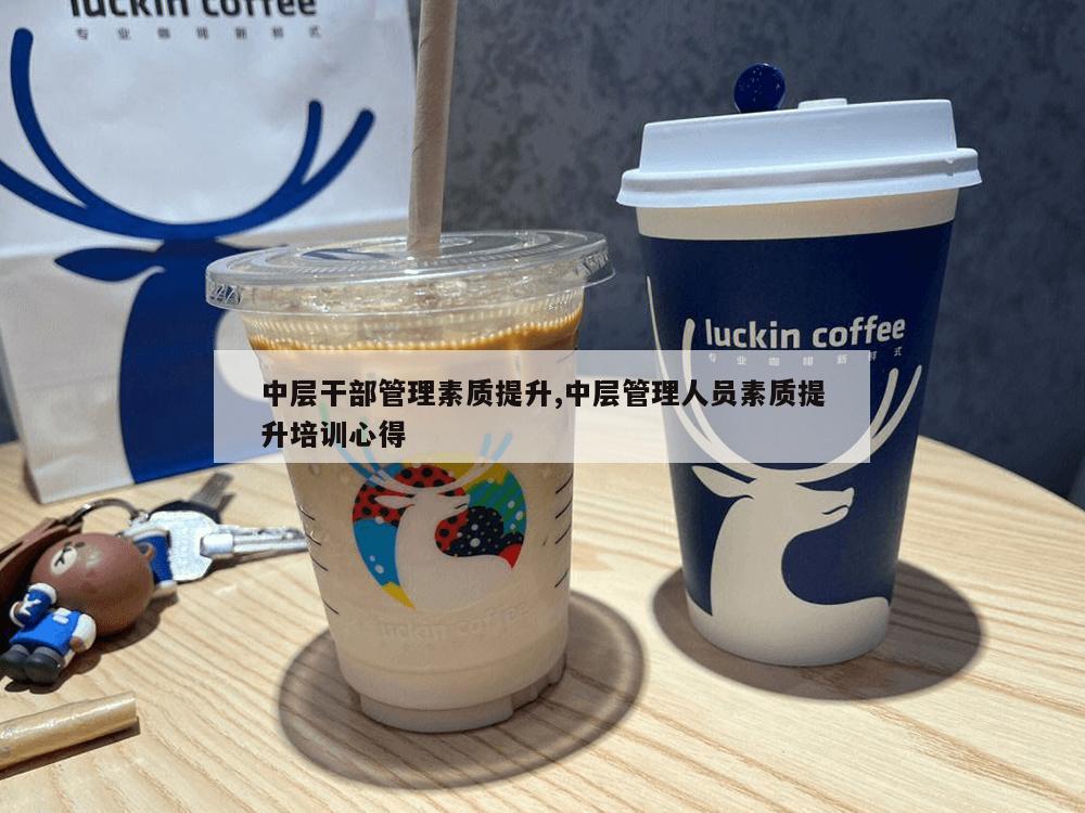 中层干部管理素质提升,中层管理人员素质提升培训心得