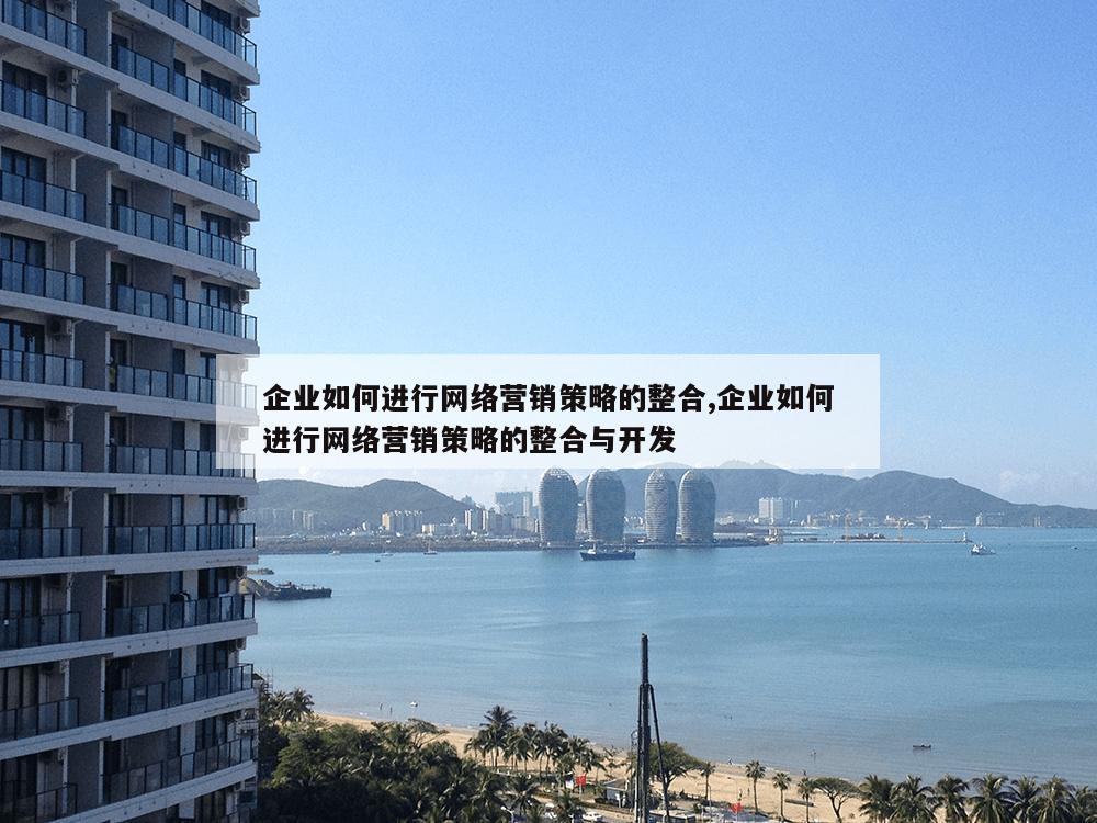 企业如何进行网络营销策略的整合,企业如何进行网络营销策略的整合与开发