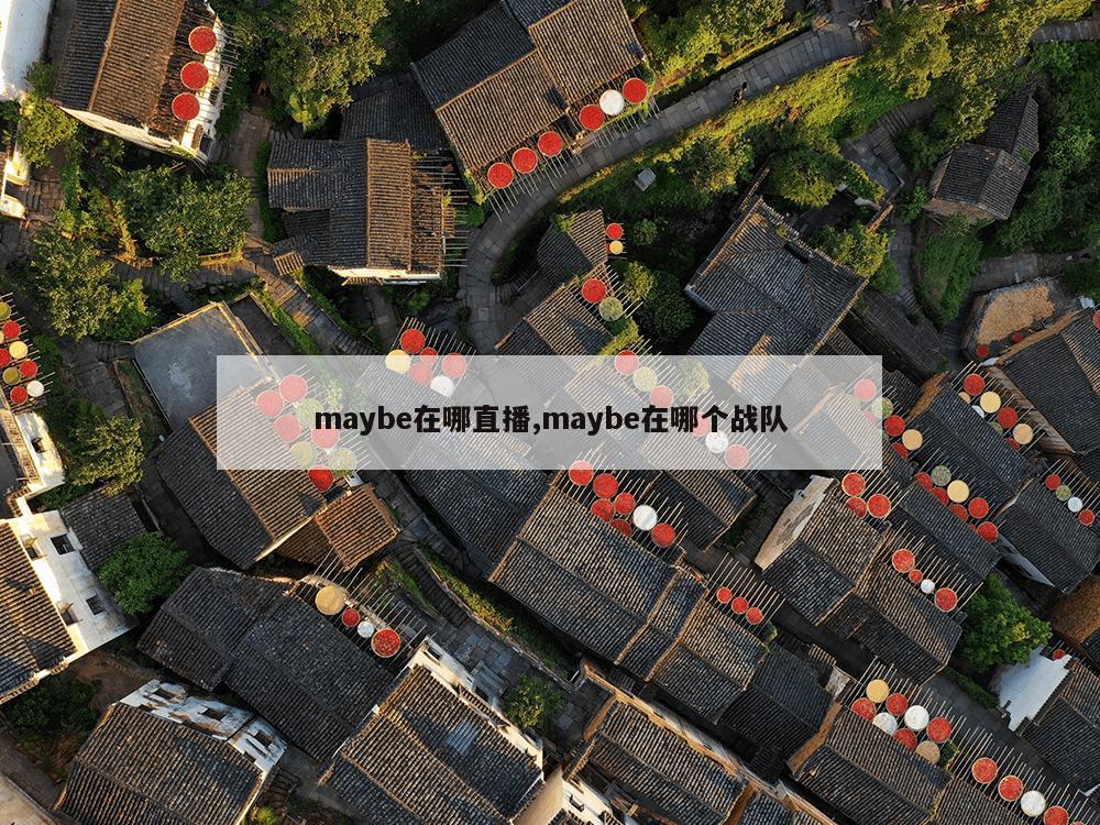 maybe在哪直播,maybe在哪个战队