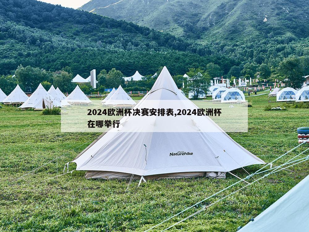 2024欧洲杯决赛安排表,2024欧洲杯在哪举行