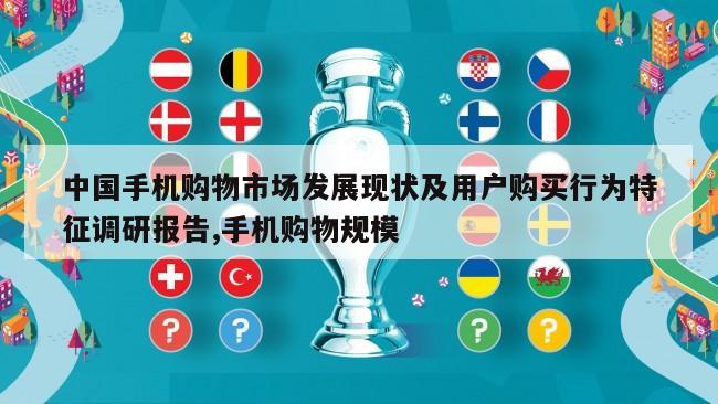 中国手机购物市场发展现状及用户购买行为特征调研报告,手机购物规模