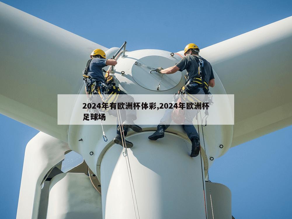 2024年有欧洲杯体彩,2024年欧洲杯足球场