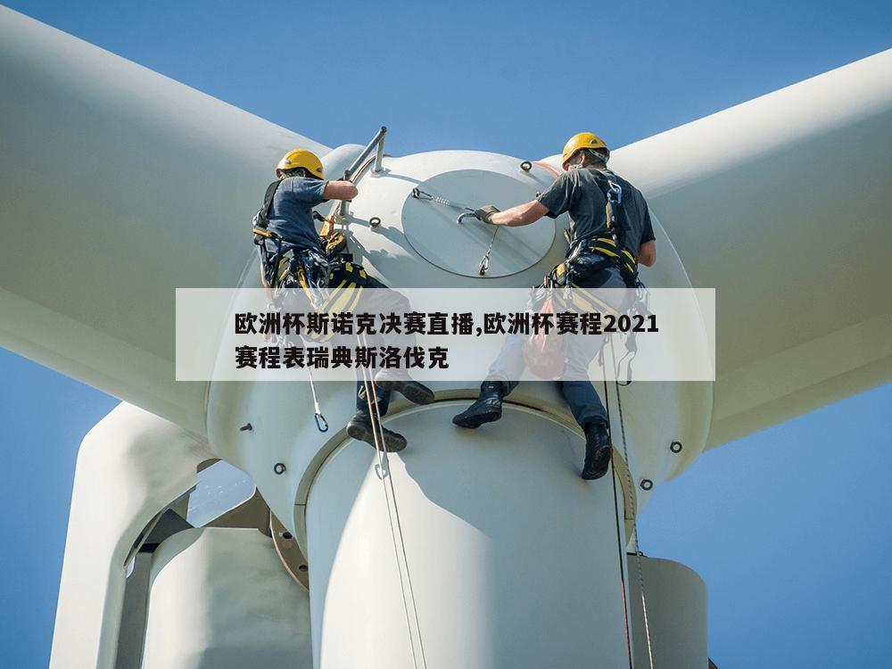 欧洲杯斯诺克决赛直播,欧洲杯赛程2021赛程表瑞典斯洛伐克