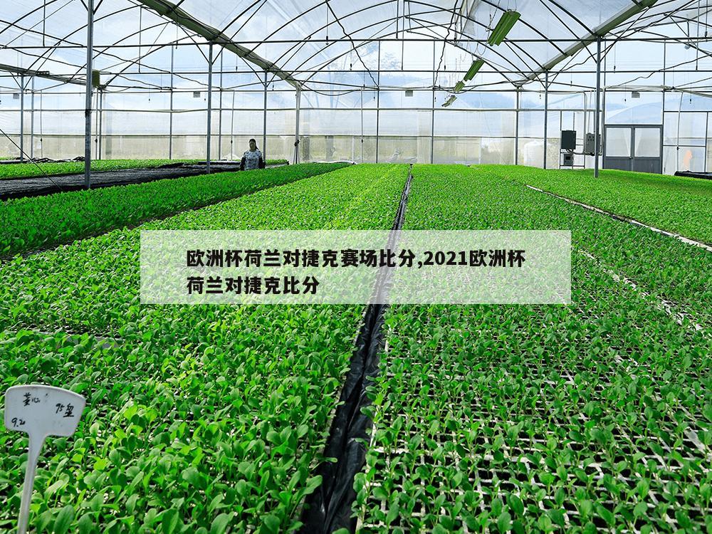 欧洲杯荷兰对捷克赛场比分,2021欧洲杯荷兰对捷克比分