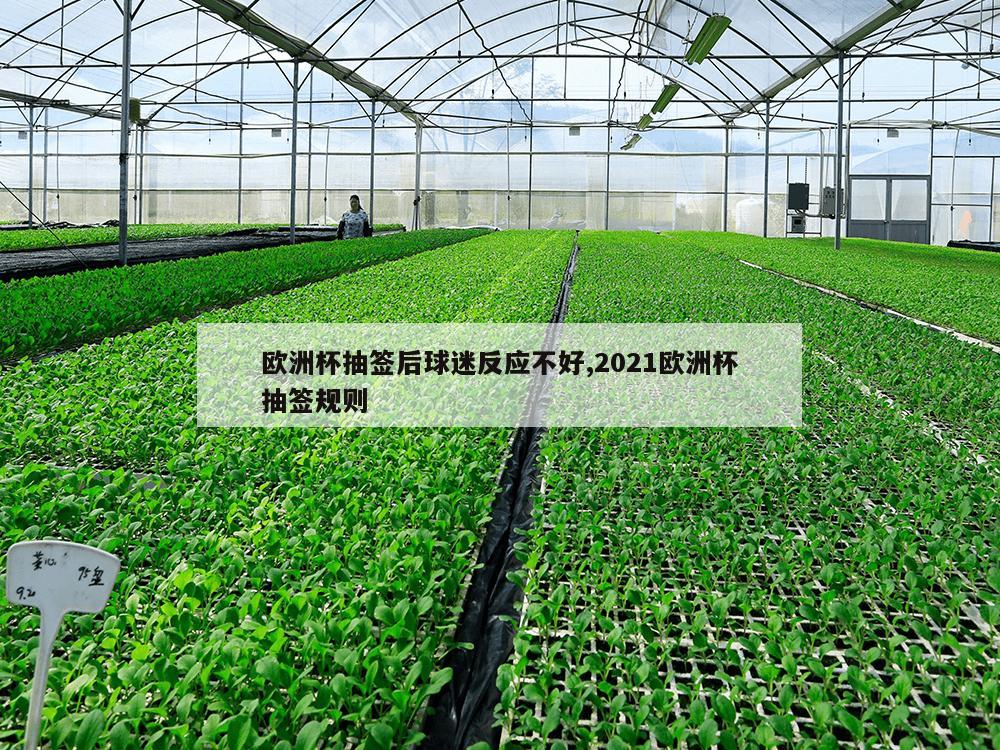 欧洲杯抽签后球迷反应不好,2021欧洲杯抽签规则