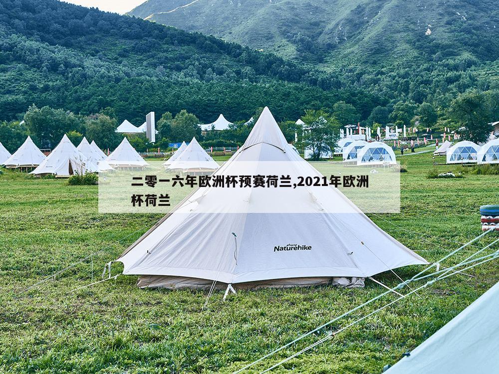 二零一六年欧洲杯预赛荷兰,2021年欧洲杯荷兰