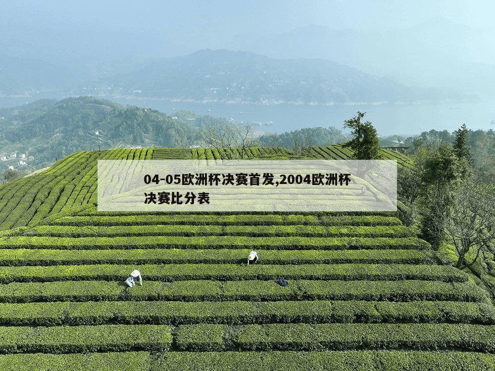 04-05欧洲杯决赛首发,2004欧洲杯决赛比分表