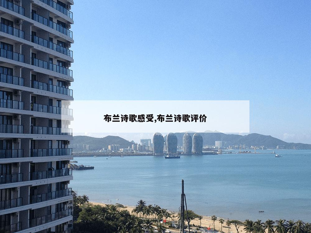 布兰诗歌感受,布兰诗歌评价