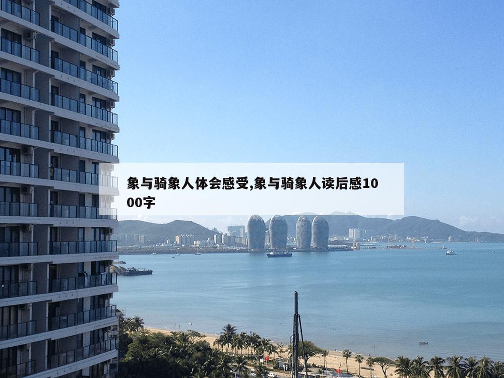 象与骑象人体会感受,象与骑象人读后感1000字