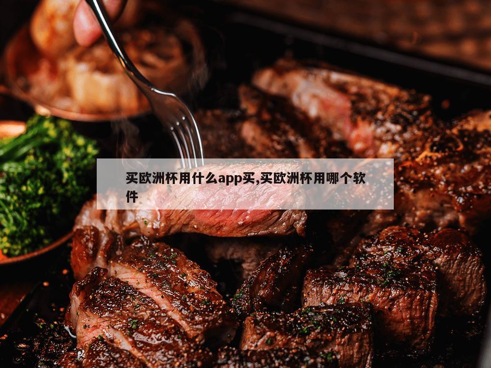 买欧洲杯用什么app买,买欧洲杯用哪个软件