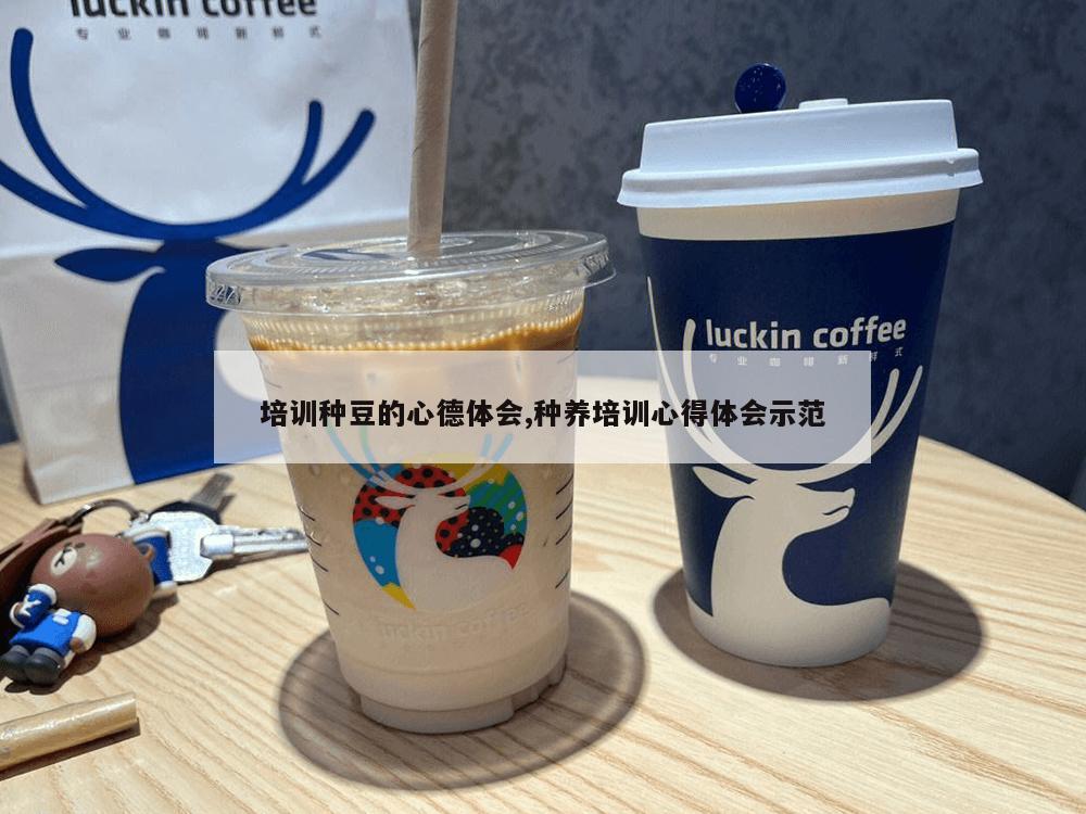 培训种豆的心德体会,种养培训心得体会示范